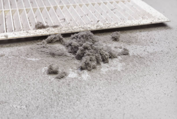 Best Affordable HVAC Duct Cleaning  in Altamont, IL